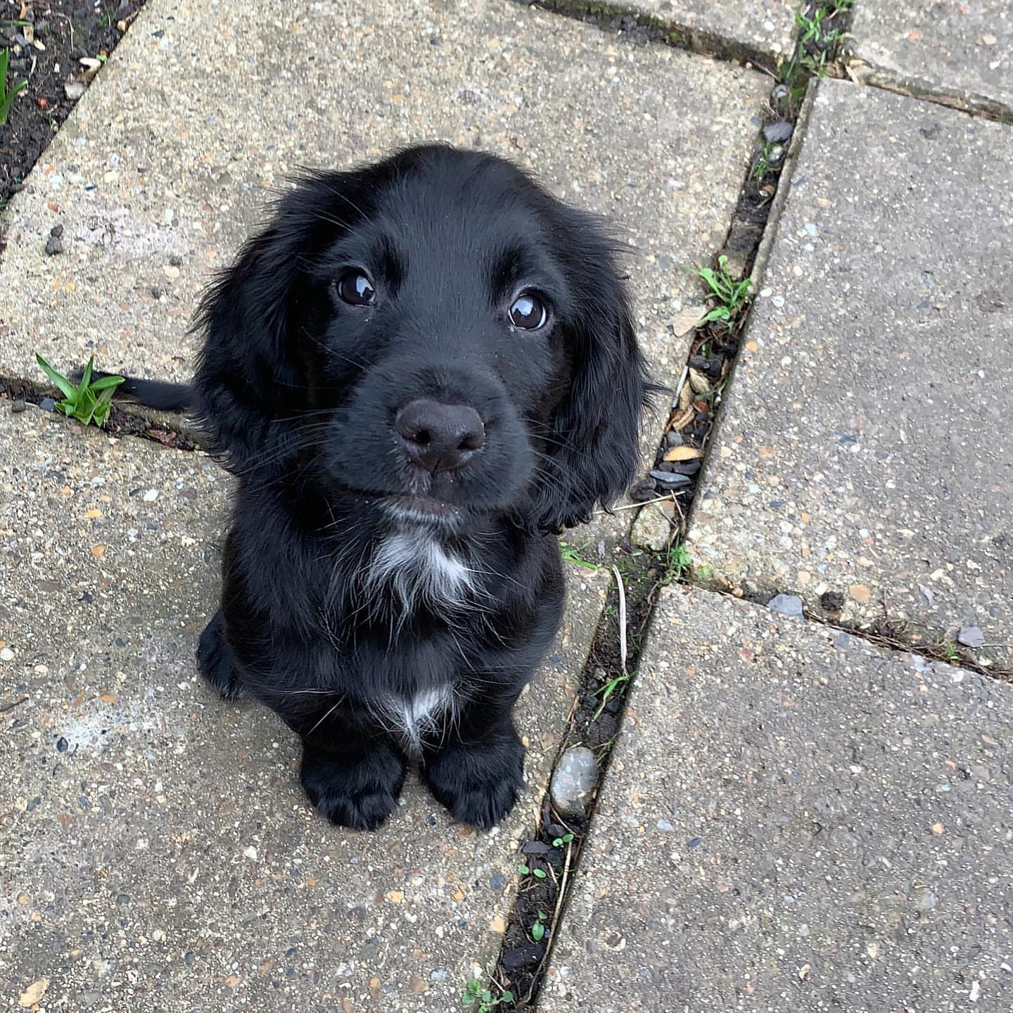 sprocker.otto-20251129-0007