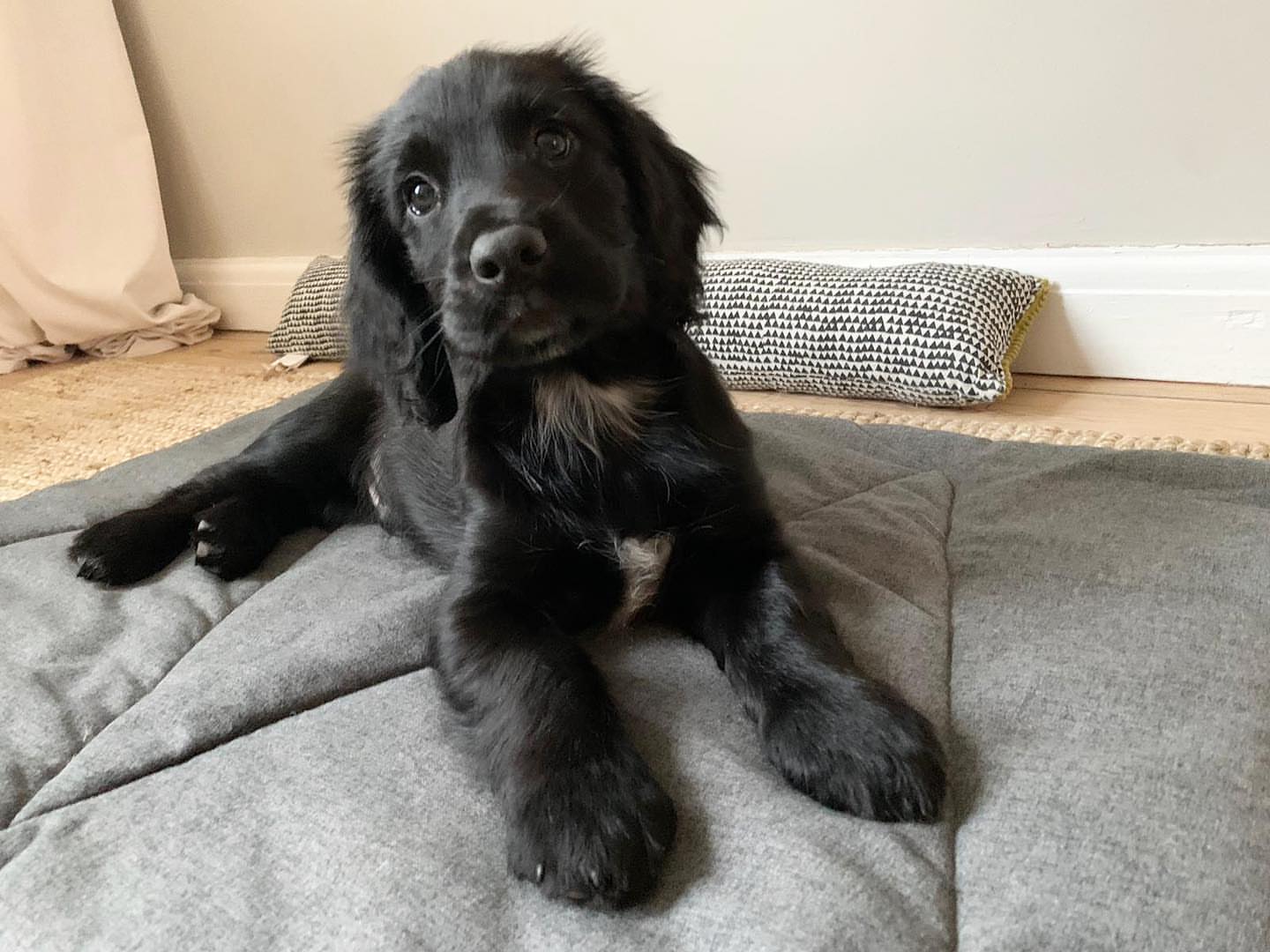 sprocker.otto-20251129-0010