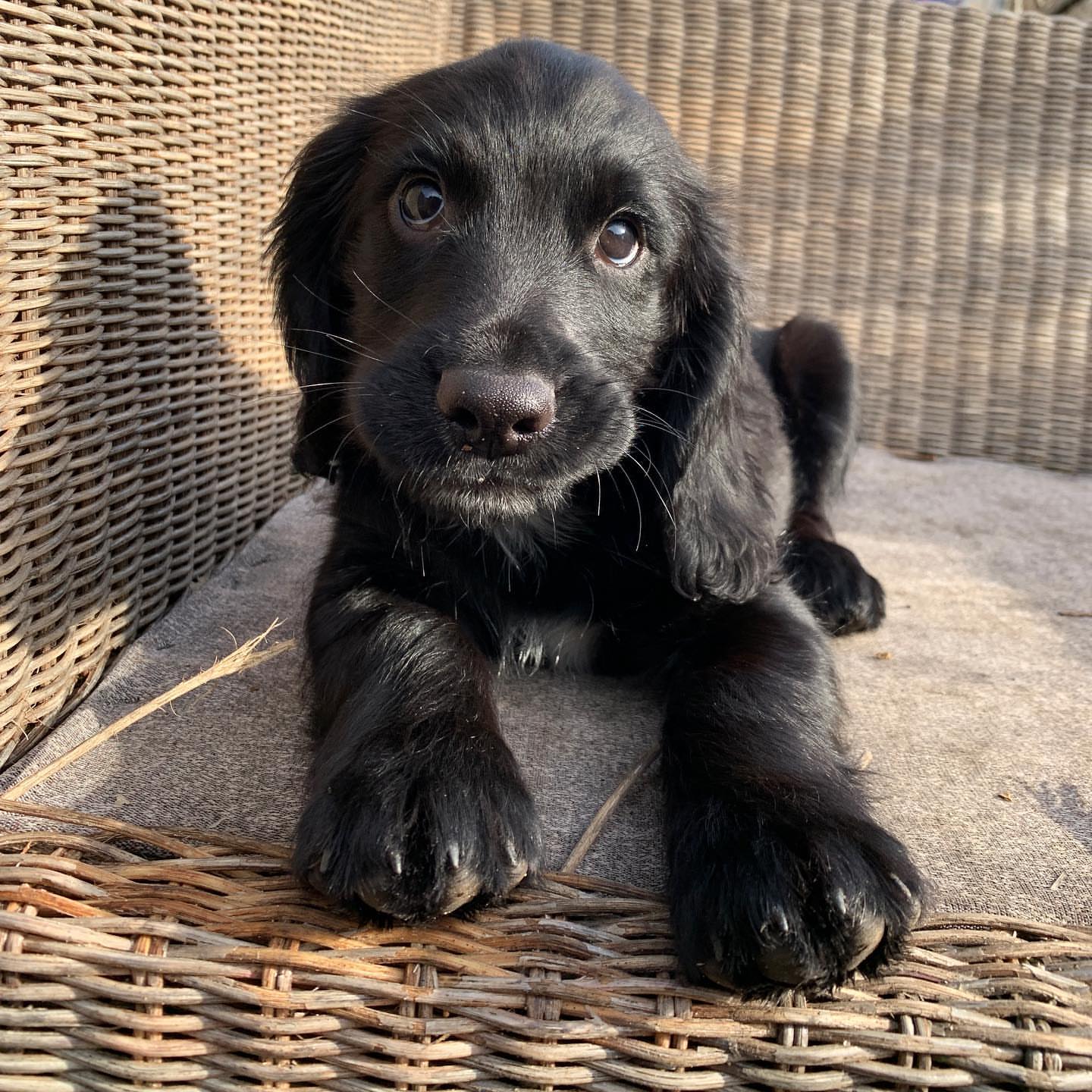 sprocker.otto-20251129-0017